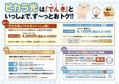ピカラおおとよ光