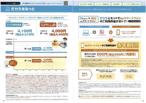 ピカラおおとよ光