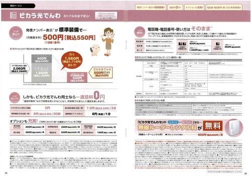 ピカラおおとよ光