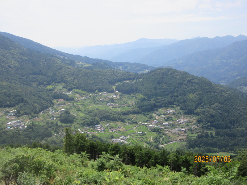 山の中腹に広がる集落と森
