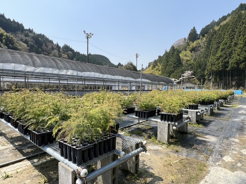 地域おこし協力隊