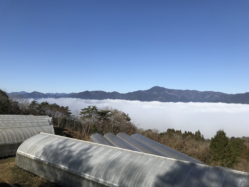 雲海とハウス