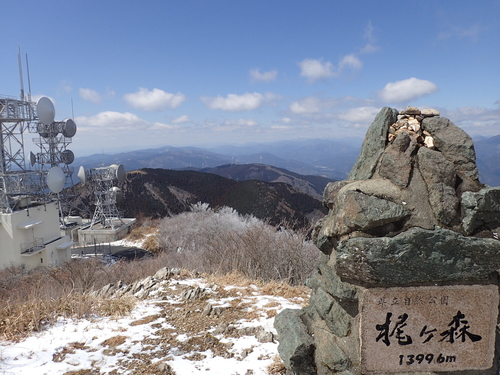 町有林4