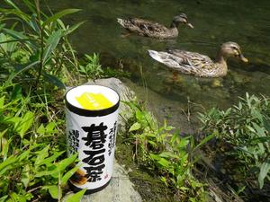 大豊の碁石茶（カートカン）