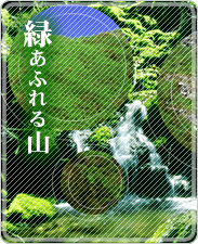 緑あふれる山