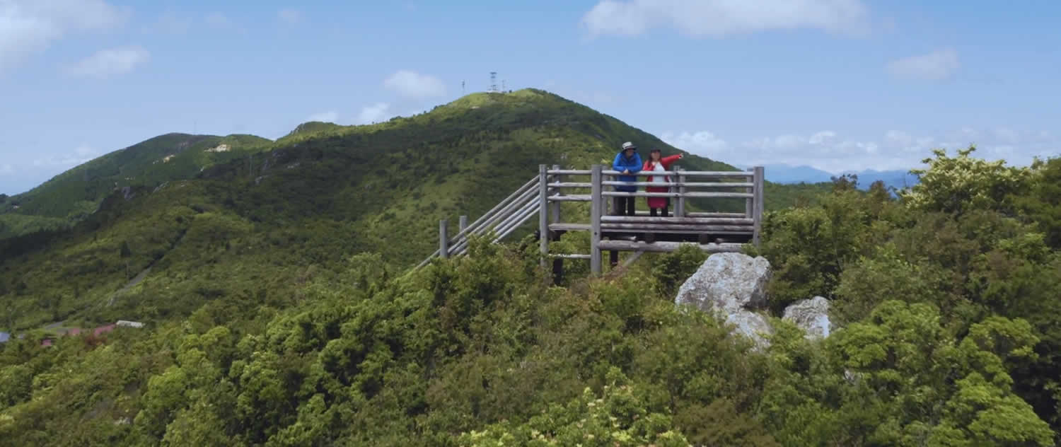 大豊町イメージ4